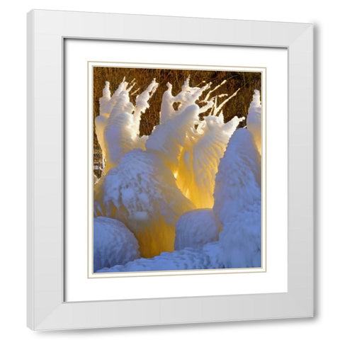 OR, Columbia Gorge Ice formations glowing White Modern Wood Framed Art Print with Double Matting by Terrill, Steve