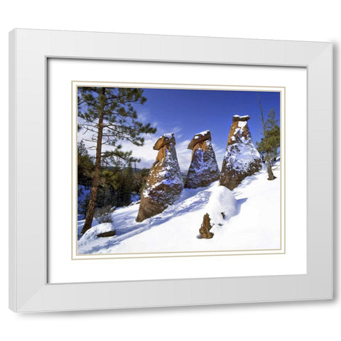 OR, Jefferson Co, The Balancing Rocks in winter White Modern Wood Framed Art Print with Double Matting by Terrill, Steve