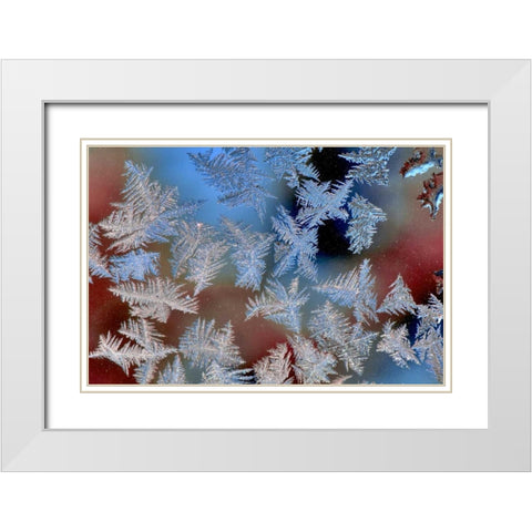 Oregon, Portland Ice crystals on window pane White Modern Wood Framed Art Print with Double Matting by Terrill, Steve