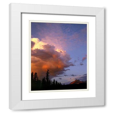 OR, Umpqua NF Storm approaching Mt Thielsen White Modern Wood Framed Art Print with Double Matting by Terrill, Steve