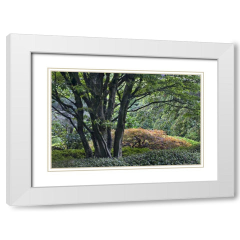 Oregon, Portland, Green lush garden scenic White Modern Wood Framed Art Print with Double Matting by Bush, Marie
