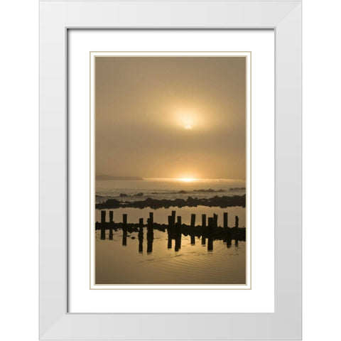 Oregon Foggy sunrise on Bandon Beach pilings White Modern Wood Framed Art Print with Double Matting by Rotenberg, Nancy