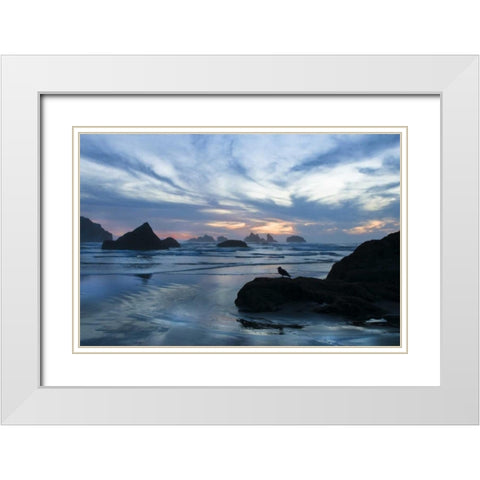 Oregon, Bandon Beach Seagull on rock at twilight White Modern Wood Framed Art Print with Double Matting by Rotenberg, Nancy