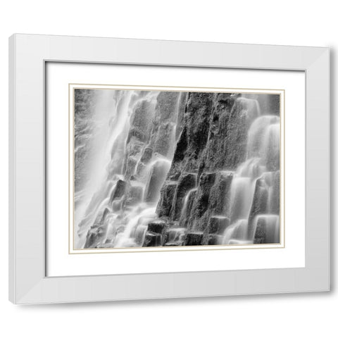 Oregon, Three Sisters Wilderness Proxy Falls White Modern Wood Framed Art Print with Double Matting by Flaherty, Dennis