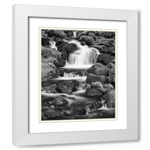 OR, Three Sisters Wilderness Area Proxy Falls White Modern Wood Framed Art Print with Double Matting by Flaherty, Dennis