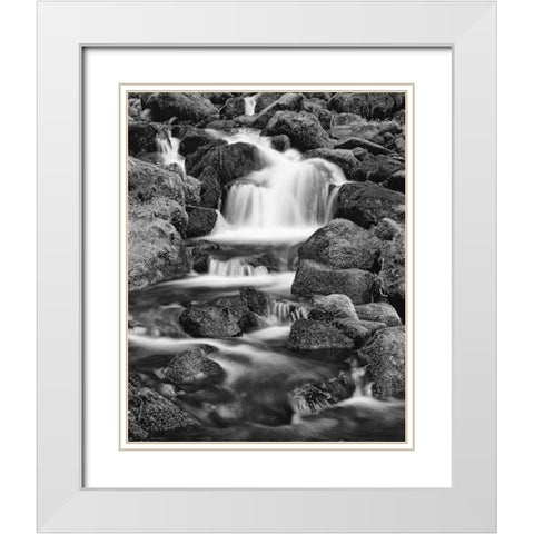 OR, Three Sisters Wilderness Area Proxy Falls White Modern Wood Framed Art Print with Double Matting by Flaherty, Dennis