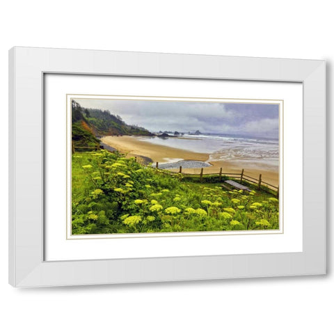 OR, Ecola SP Cow parsnip near Indian Beach White Modern Wood Framed Art Print with Double Matting by Carter, Jean