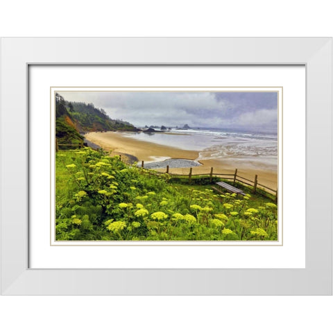 OR, Ecola SP Cow parsnip near Indian Beach White Modern Wood Framed Art Print with Double Matting by Carter, Jean