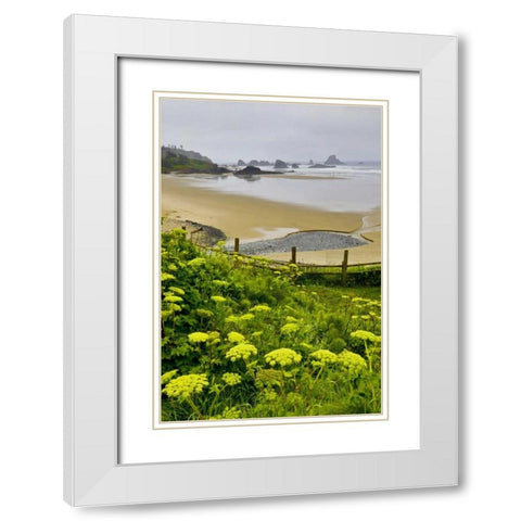 OR, Ecola SP Cow parsnip near Indian Beach White Modern Wood Framed Art Print with Double Matting by Carter, Jean