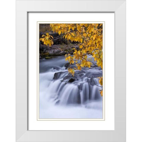 USA, Oregon Rogue River waterfalls in autumn White Modern Wood Framed Art Print with Double Matting by Carter, Jean