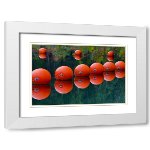 USA, Oregon Orange buoys form dam on Rogue River White Modern Wood Framed Art Print with Double Matting by Carter, Jean