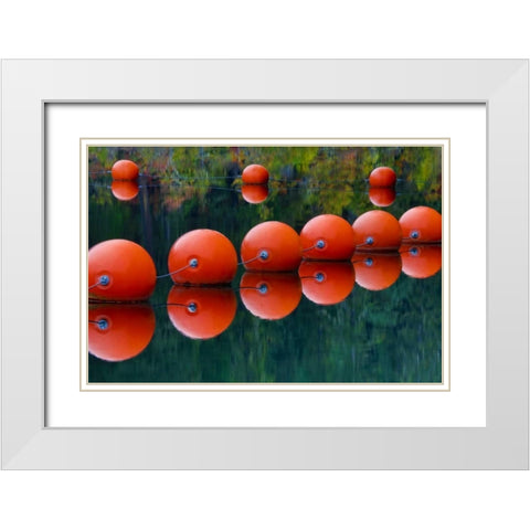 USA, Oregon Orange buoys form dam on Rogue River White Modern Wood Framed Art Print with Double Matting by Carter, Jean