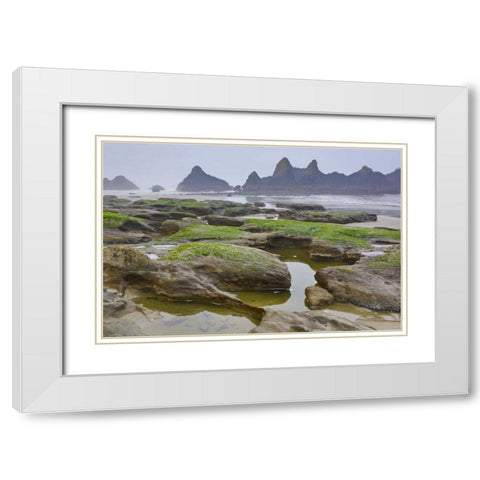 Oregon, Seal Rock SP Rocky beach at low tide White Modern Wood Framed Art Print with Double Matting by Carter, Jean
