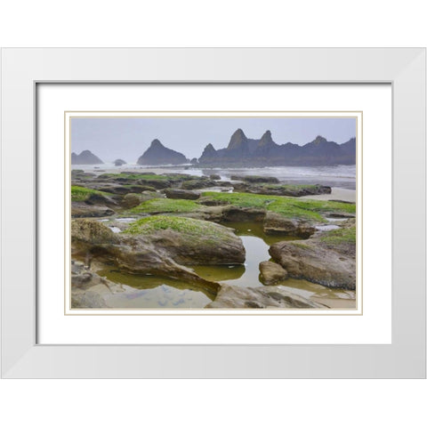 Oregon, Seal Rock SP Rocky beach at low tide White Modern Wood Framed Art Print with Double Matting by Carter, Jean