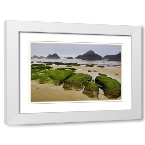 Oregon, Seal Rock SP Rocky beach at low tide White Modern Wood Framed Art Print with Double Matting by Carter, Jean