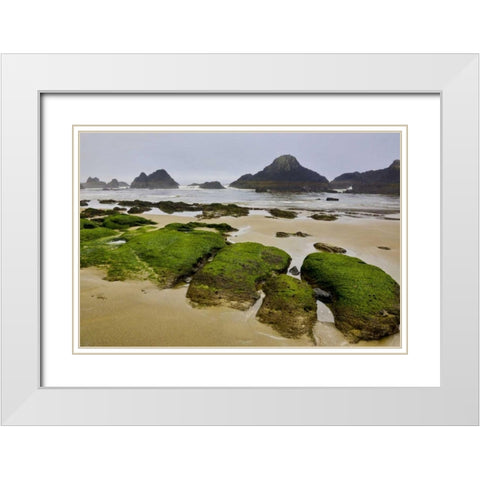 Oregon, Seal Rock SP Rocky beach at low tide White Modern Wood Framed Art Print with Double Matting by Carter, Jean