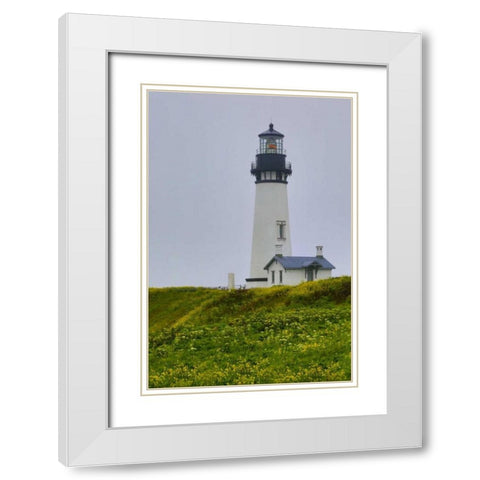 USA, Oregon Yaquina Head Lighthouse on foggy day White Modern Wood Framed Art Print with Double Matting by Carter, Jean