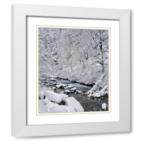 Oregon, Mt Hood NF Snow on Boulder Creek White Modern Wood Framed Art Print with Double Matting by Terrill, Steve