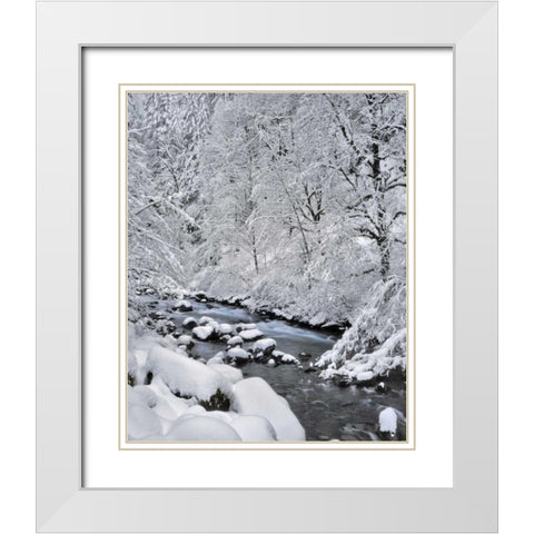 Oregon, Mt Hood NF Snow on Boulder Creek White Modern Wood Framed Art Print with Double Matting by Terrill, Steve