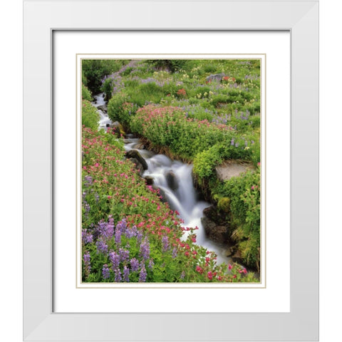 OR, Mt Hood, Flowers along Elk Cove Creek White Modern Wood Framed Art Print with Double Matting by Terrill, Steve