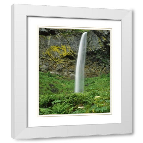 OR, Columbia River Gorge NSA Elowah Falls scenic White Modern Wood Framed Art Print with Double Matting by Terrill, Steve