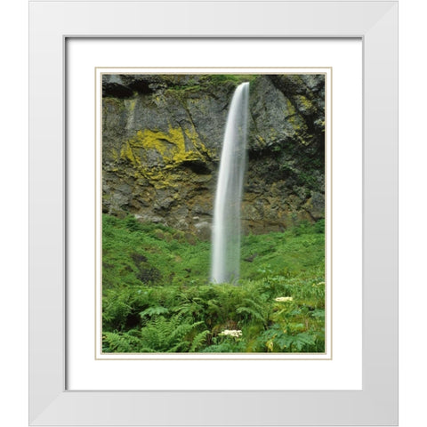 OR, Columbia River Gorge NSA Elowah Falls scenic White Modern Wood Framed Art Print with Double Matting by Terrill, Steve