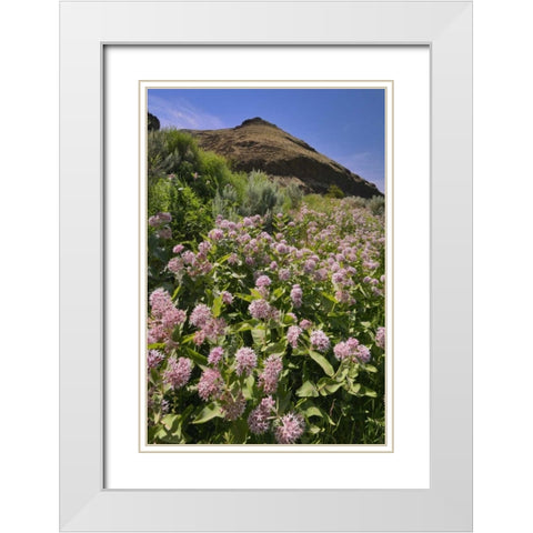 USA, Oregon Milkweed and cliff White Modern Wood Framed Art Print with Double Matting by Terrill, Steve
