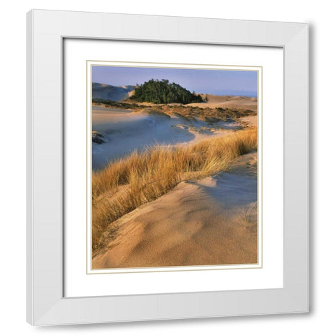 Oregon, Dunes NRA Landscape of sand dunes White Modern Wood Framed Art Print with Double Matting by Terrill, Steve
