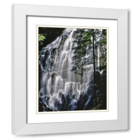 Oregon, Mt Hood Wilderness Ramona Falls White Modern Wood Framed Art Print with Double Matting by Terrill, Steve