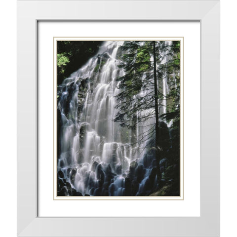 Oregon, Mt Hood Wilderness Ramona Falls White Modern Wood Framed Art Print with Double Matting by Terrill, Steve