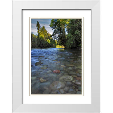Oregon, Mt Hood NF Sandy River landscape White Modern Wood Framed Art Print with Double Matting by Terrill, Steve