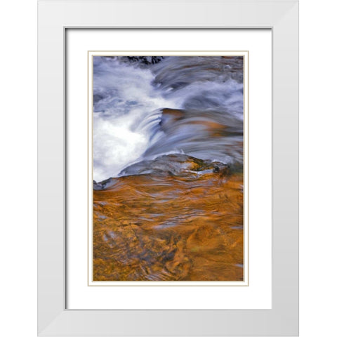 USA, Oregon Waterfall in South Fork River White Modern Wood Framed Art Print with Double Matting by Terrill, Steve