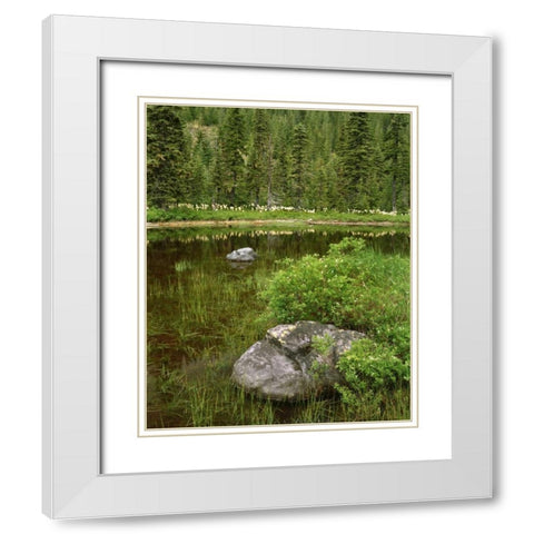 Oregon, Mt Hood NF Reflections in Surprise Lake White Modern Wood Framed Art Print with Double Matting by Terrill, Steve