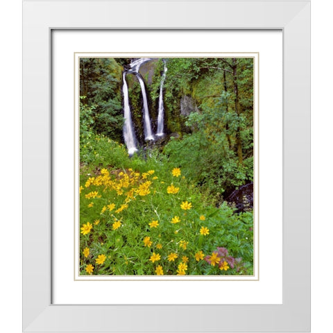 Oregon, Columbia River Gorge NSA Triple Falls White Modern Wood Framed Art Print with Double Matting by Terrill, Steve