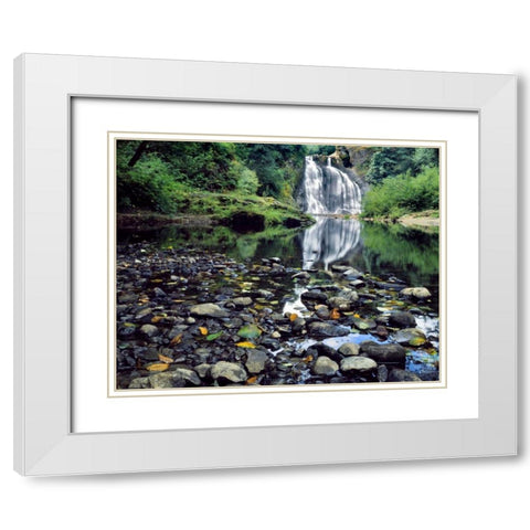 Oregon, Youngs River Falls Waterfall landscape White Modern Wood Framed Art Print with Double Matting by Terrill, Steve