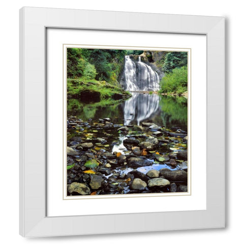 Oregon, Youngs River Falls Waterfall landscape White Modern Wood Framed Art Print with Double Matting by Terrill, Steve