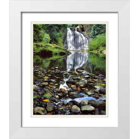 Oregon, Youngs River Falls Waterfall landscape White Modern Wood Framed Art Print with Double Matting by Terrill, Steve