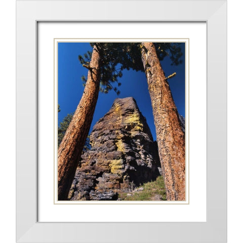 OR, Gearhart Mountain Trees frame rock formation White Modern Wood Framed Art Print with Double Matting by Terrill, Steve