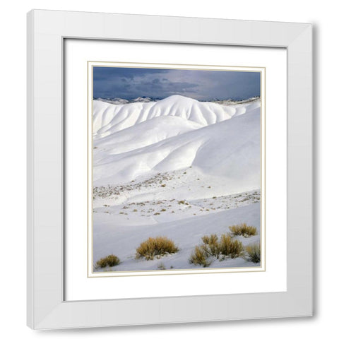 OR, John Day Fossil Beds NM The Painted Hills White Modern Wood Framed Art Print with Double Matting by Terrill, Steve