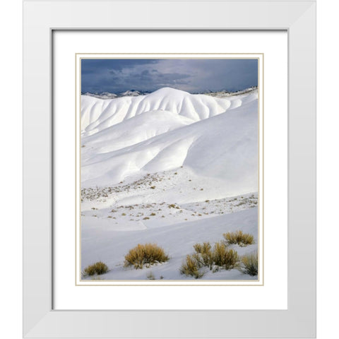 OR, John Day Fossil Beds NM The Painted Hills White Modern Wood Framed Art Print with Double Matting by Terrill, Steve