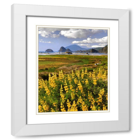 OR, Ophir Yellow lupine and ocean beach White Modern Wood Framed Art Print with Double Matting by Terrill, Steve