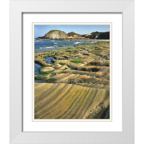 OR, Seal Rock SP Patterns on sandstone rock White Modern Wood Framed Art Print with Double Matting by Terrill, Steve