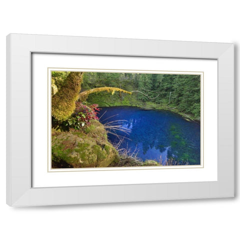 Oregon Blue or Tamolitch Pool on McKenzie River White Modern Wood Framed Art Print with Double Matting by Terrill, Steve