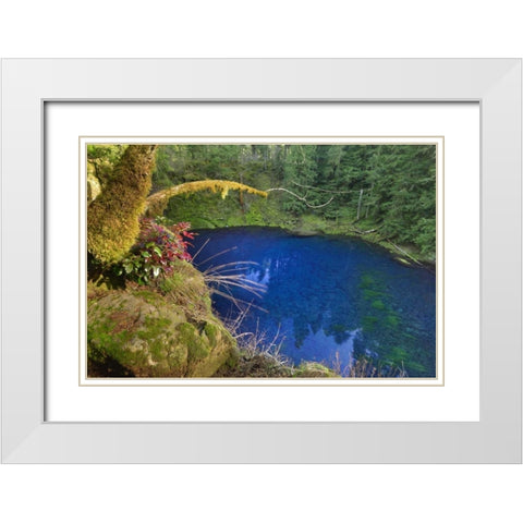Oregon Blue or Tamolitch Pool on McKenzie River White Modern Wood Framed Art Print with Double Matting by Terrill, Steve