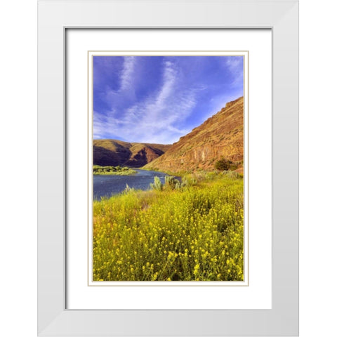 Oregon, John Day River Cliffs and wild mustard White Modern Wood Framed Art Print with Double Matting by Terrill, Steve