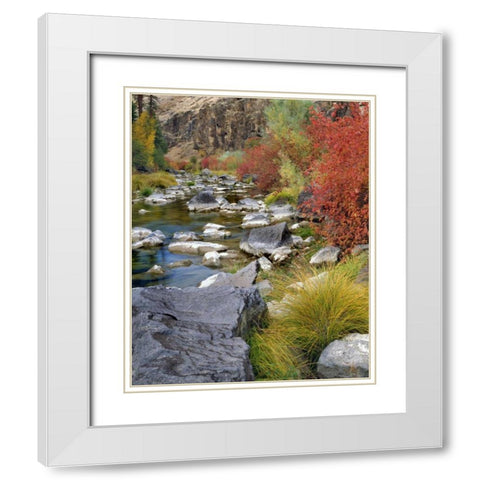 USA, Oregon Fall colors along John Day River White Modern Wood Framed Art Print with Double Matting by Terrill, Steve