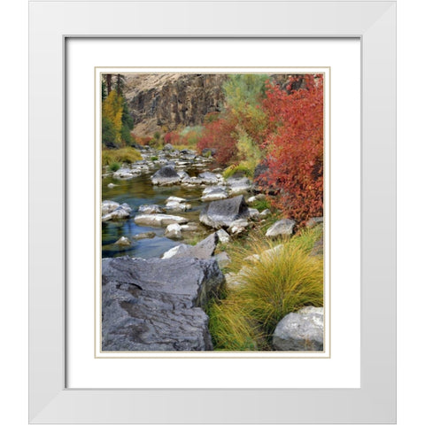 USA, Oregon Fall colors along John Day River White Modern Wood Framed Art Print with Double Matting by Terrill, Steve