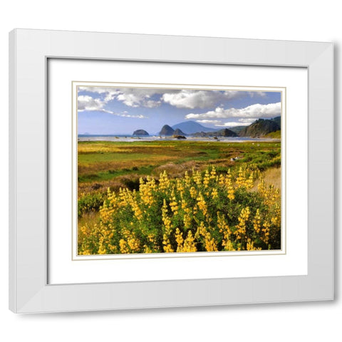 Oregon Landscape of yellow lupine and beach White Modern Wood Framed Art Print with Double Matting by Terrill, Steve