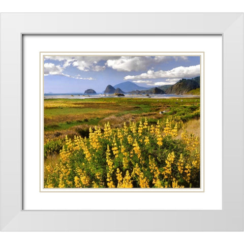 Oregon Landscape of yellow lupine and beach White Modern Wood Framed Art Print with Double Matting by Terrill, Steve