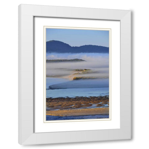 USA, Oregon Morning fog over Netarts Bay White Modern Wood Framed Art Print with Double Matting by Terrill, Steve
